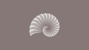 openclipart圖庫：arrows ammonite