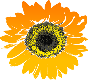 Free Free 64 Printable Sunflower Clipart Free SVG PNG EPS DXF File