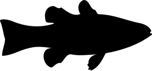 openclipart圖庫：Cardinalfish (silhouette)