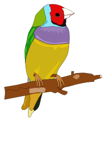 openclipart圖庫：bird
