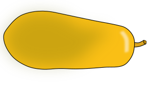 openclipart圖庫：papaya