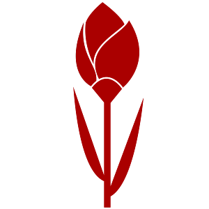 openclipart圖庫：TULIP Simple Red Flower- remixed, one color.