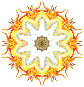 https://openclipart.org/image/300px/svg_to_png/243337/Nudibranchia10.png