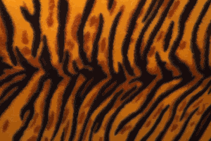 https://openclipart.org/image/300px/svg_to_png/243361/TigerFur.png