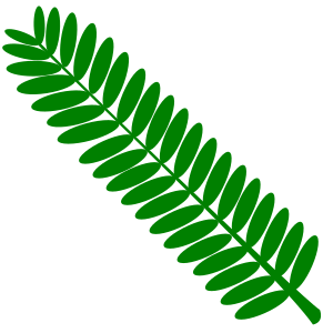 openclipart圖庫：Mimosa leaf twig (touch-me-not) plant- one color