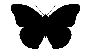 openclipart圖庫：butterfly silhouette