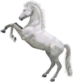 openclipart圖庫：White Horse