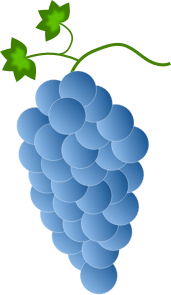 https://openclipart.org/image/300px/svg_to_png/244892/Fwd-Colored-Grapes-6-2016032519.png