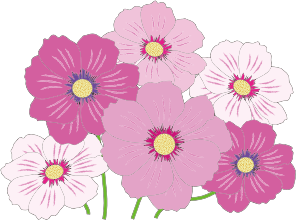 openclipart圖庫：Pink And White Flowers