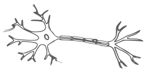 openclipart圖庫：neuron