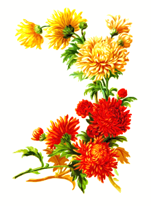 https://openclipart.org/image/300px/svg_to_png/246786/Flowers3.png