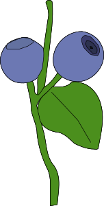 openclipart圖庫：blueberry