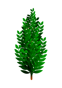 openclipart圖庫：Bush