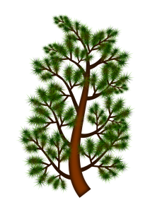 https://openclipart.org/image/300px/svg_to_png/248224/pine_tree_branch_06052016_1.png