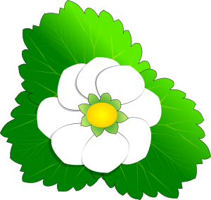 openclipart圖庫：Strawberry Flower