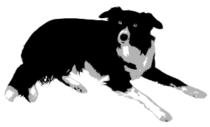 openclipart圖庫：Border Collie