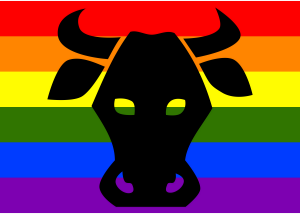 https://openclipart.org/image/300px/svg_to_png/256314/Rainbow_Flag_Uri.png