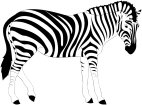 openclipart圖庫：Realistic Zebra Illustration