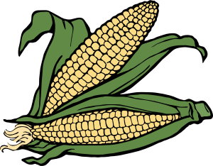 openclipart圖庫：corn