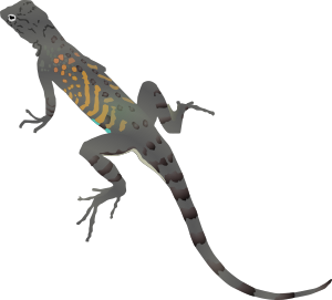 openclipart圖庫：AZ Lizard