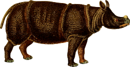 https://openclipart.org/image/300px/svg_to_png/262576/Rhinoceros4Clipped.png