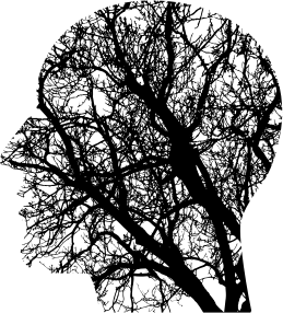 openclipart圖庫：Tree Man Silhouette