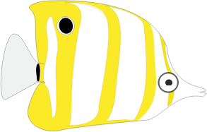 openclipart圖庫：tropical cartoon fish