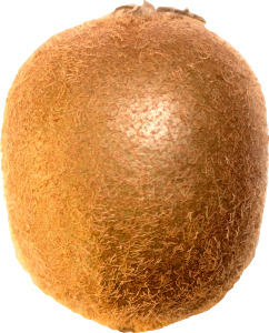 https://openclipart.org/image/300px/svg_to_png/263553/KiwiFruit.png