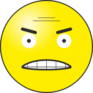 https://openclipart.org/image/300px/svg_to_png/263673/angry.png
