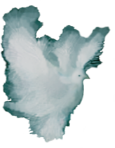 https://openclipart.org/image/300px/svg_to_png/265777/Dove-Fantasy-White-Night-Flight.png
