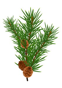 openclipart圖庫：PIne branch #2
