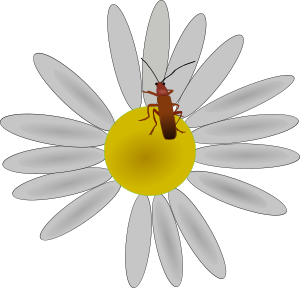 openclipart圖庫：bug on a flower