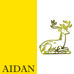 https://openclipart.org/image/300px/svg_to_png/268060/Aidan.png