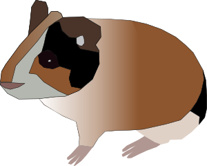 openclipart圖庫：guinea pig