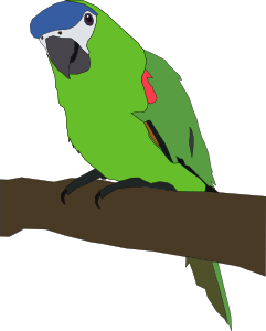 openclipart圖庫：parrot