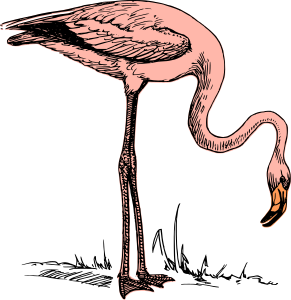 openclipart圖庫：Pink flamingo