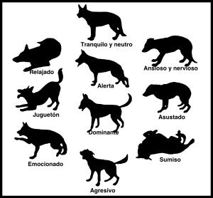 https://openclipart.org/image/300px/svg_to_png/270981/posturas_perros.png