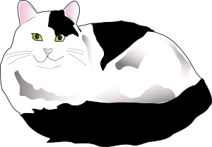 openclipart圖庫：Black and White Fluffy Cat