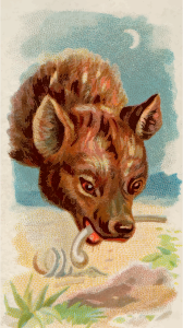 https://openclipart.org/image/300px/svg_to_png/276399/CigCardHyena.png