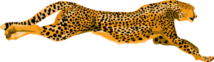 openclipart圖庫：leopard-cheetah