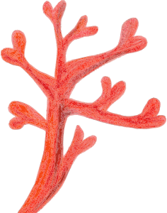 https://openclipart.org/image/300px/svg_to_png/278459/TJ--95--Red-Coral-Painted-OpenClipArt--23-4-17.png