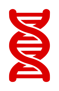 openclipart圖庫：DNA Strand Icon