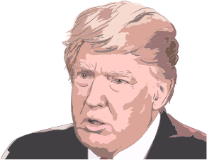 https://openclipart.org/image/300px/svg_to_png/280279/Donald-Trump-Portrait-3.png