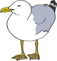 openclipart圖庫：Seagull