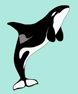 https://openclipart.org/image/300px/svg_to_png/282599/basic-orca.png