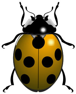 openclipart圖庫：ladybug