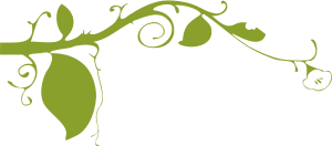 openclipart圖庫：Ornamental plant