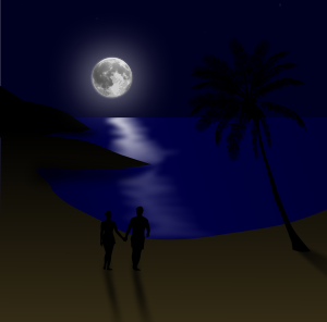 openclipart圖庫：Moonlit beach couple