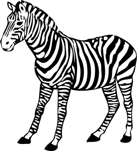 openclipart圖庫：zebra