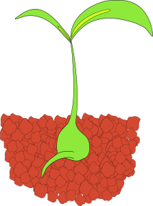 openclipart圖庫：Seedling